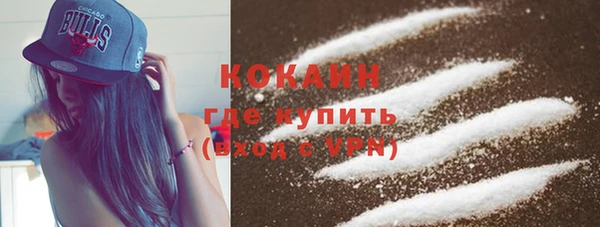 крисы Инта