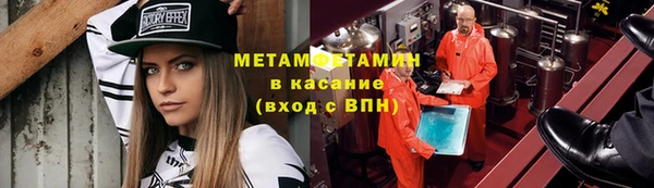 крисы Инта