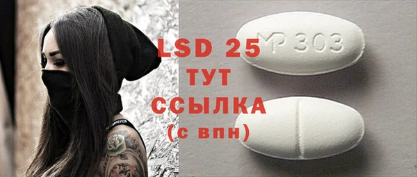 крисы Инта