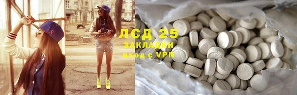 крисы Инта