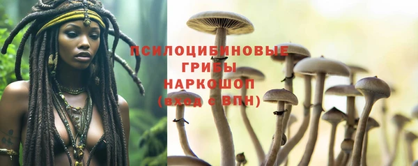 круглые Инсар
