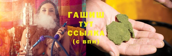 крисы Инта