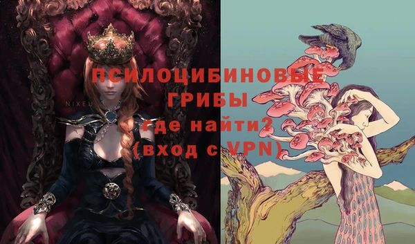 крисы Инта