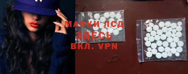 крисы Инта