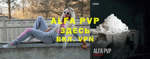 крисы Инта