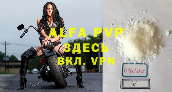 крисы Инта
