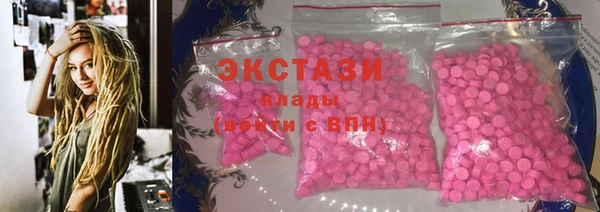 крисы Инта