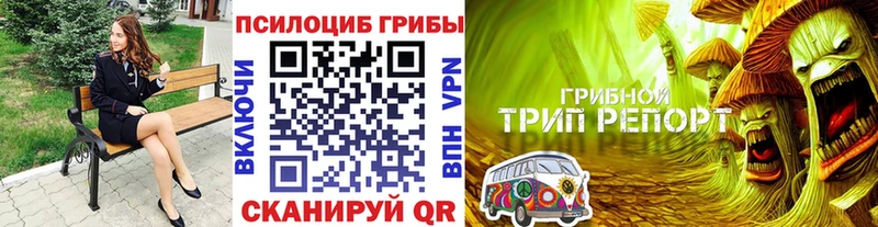 это Telegram  Усолье-Сибирское  Псилоцибиновые грибы Magic Shrooms  где можно купить наркотик 
